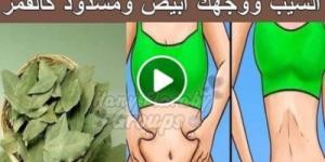 معجزة طبية مدهشة في ورق الغار.. ستجعل بطنك مسطحاً وشعرك كثيف وناعم خالي من الشيب ووجهك أبيض كالبدر..استخدمة بهذه الطريقة واتفرج الفرق الجبار