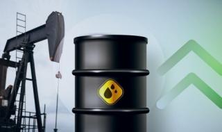 ارتفاع أسعار النفط عالمياً