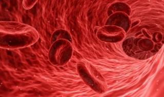 مهم عن حالة فرط البوتاسيوم في الدم