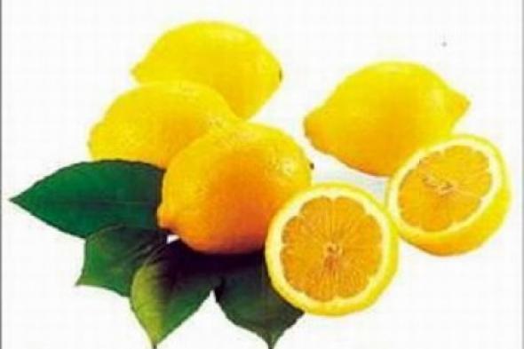 الليمون ينقي الدم وينشط الذهن
